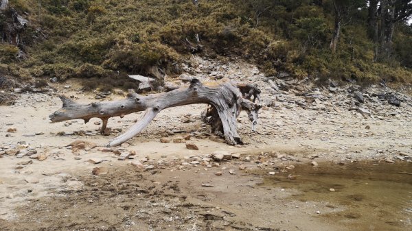 巴庫拉斯，七彩湖1339123