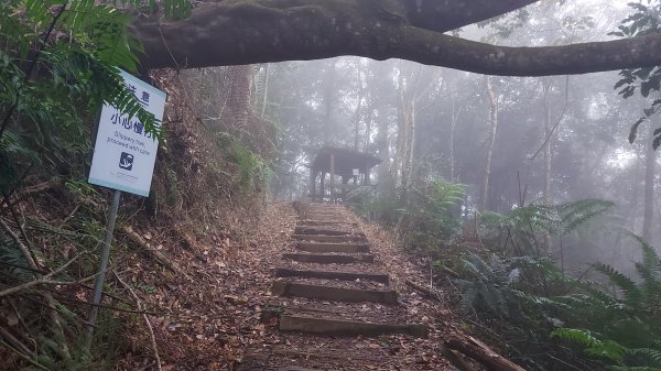 水社大山水社主峰新年二部曲1598805