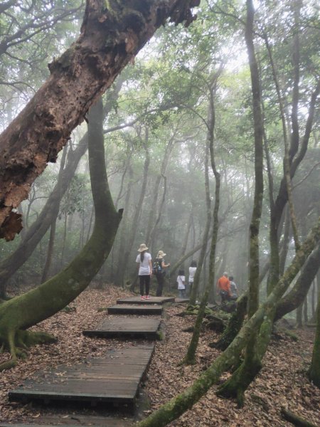 小百岳(22)-東眼山-202208281847331