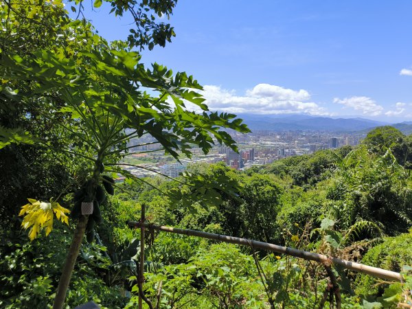 20250906泰山辭修公園、尖棟山、69步道、瓊仔胡2879476