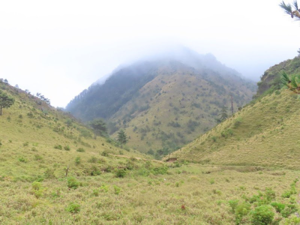 完百之旅～八通關上玉山北峰~觀高營地→八通關草原→北鞍冷杉營地
