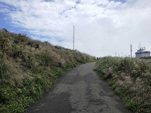 202009 大屯山/二子坪/向天步道1115533