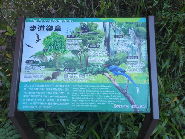 2025.06.15－烘爐地2813405