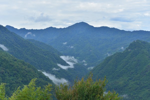 司馬庫斯巨木步道2861074