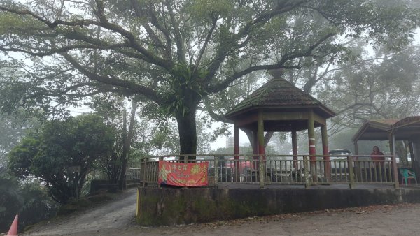 臺南白河關子嶺雞籠山步道1571875