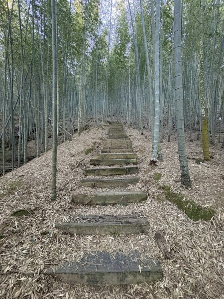 20251221嘉南雲峰、石壁山登山步道2968081
