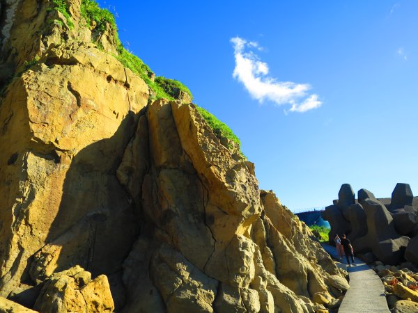 看海最美的神秘步道：到基隆大坪海岸尋找海豹岩2443159