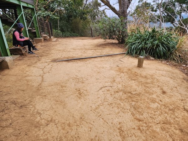 20260125口山步道2995133