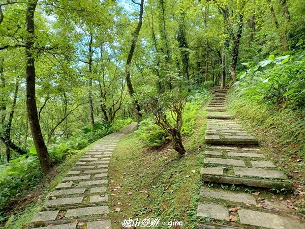 【花蓮壽豐】秀麗山景。 池南國家森林遊樂區森林浴步道2266014