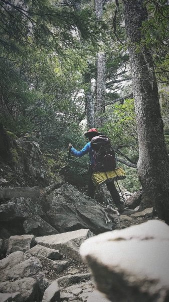 雪山 不下雪533117