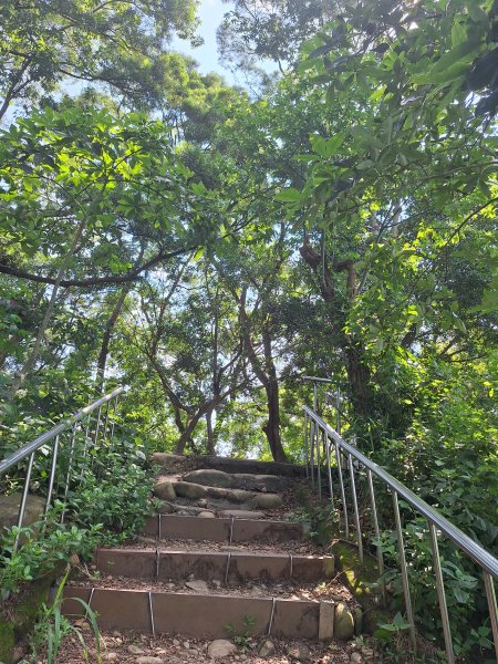 田中森林登山步道＋茶香步道＋赤水崎公園步道202508172862073