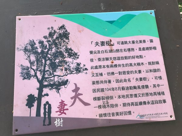 ~  臺北大縱走  第五段  ~1335020