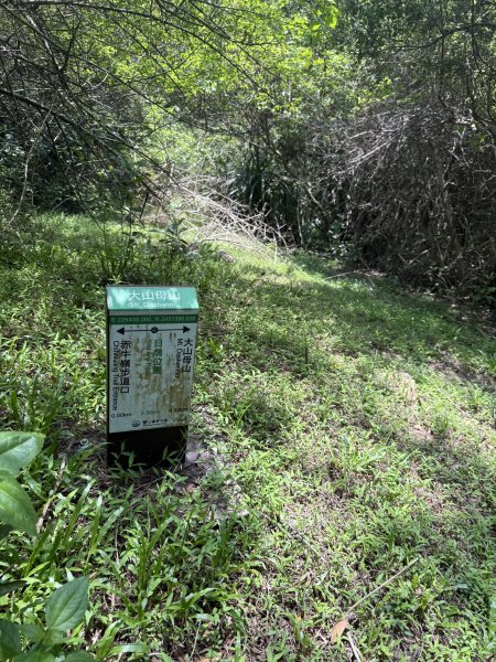 78赤牛嶺大山母山3083572