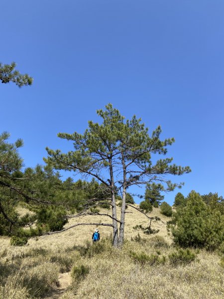 北二段之閂山鈴鳴山2280627