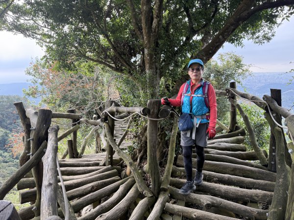 頭嵙山二嵙山O形2690500