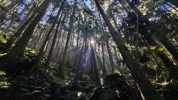 嘉義-特富野古道3120564