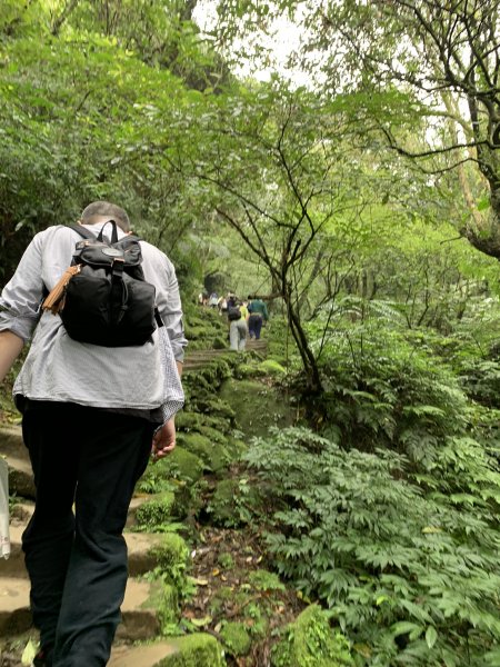 孝子山、慈母峰及普陀山860496