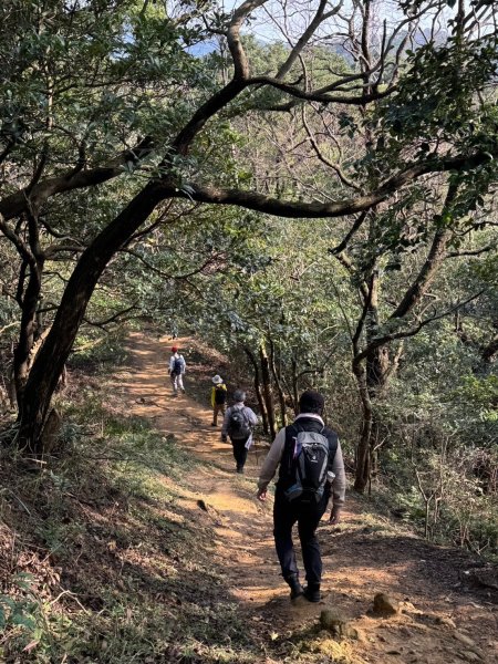 2025-0204 鶯歌_大凍山_三角埔頂山_迴龍2708033