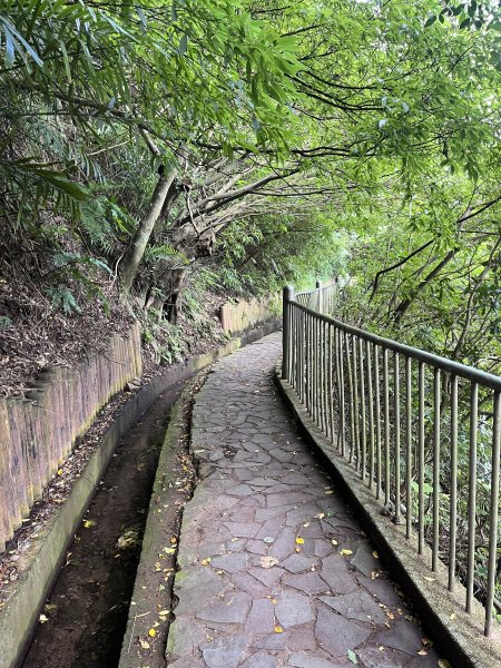 2024_1020 貴子坑親山步道2634260