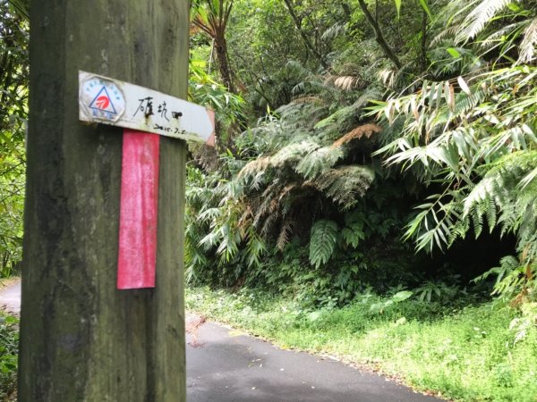 崩山坑古道環走中坑古道632765