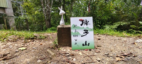 2025/07/06_金牌縱走(觀音洞出發小O型)2829110