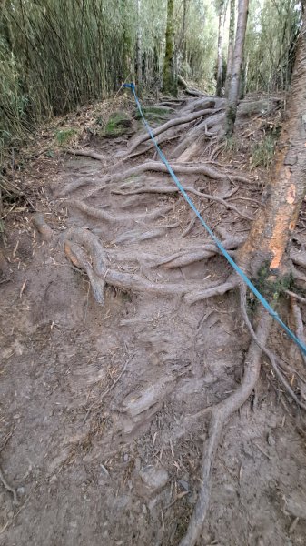 合歡西峰單攻1216935