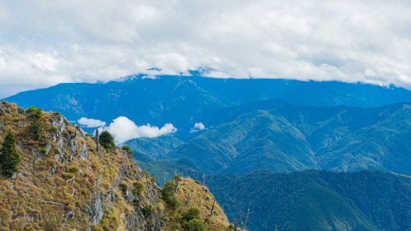 雪山東峰壯麗的山景&動植物1521801