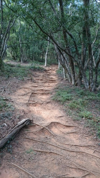 火炎山步道之旅23623