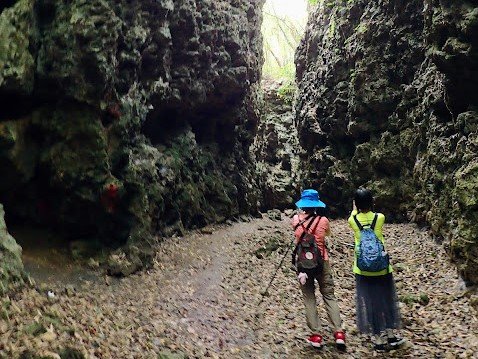 高雄大崗山步道-天靈洞-大崗山小百岳-盤龍峽谷一線天