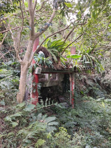 微笑山線：和美山2953984