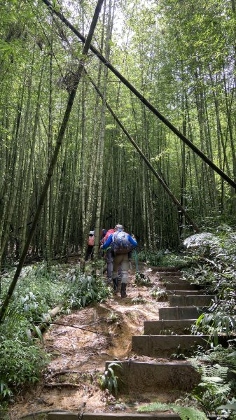 精彩的水社大山行|白石山土地公廟|Great Mt. Shuishe|쉐이써따신|峯花雪月2263865