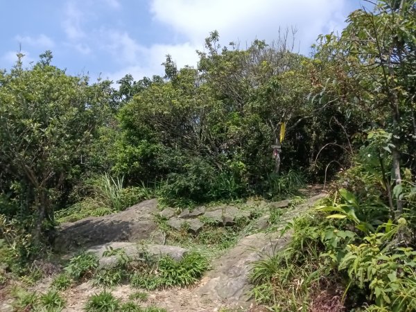 內湖區大丘田保甲路+開眼山+白石湖山+白石湖山東峰+大邱田山+消防山O型2858912