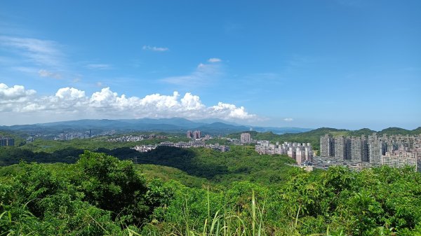 20250914＿五坑山2884113