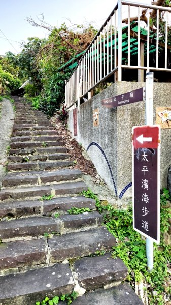 四獸山大縱走，虎山，豹山，獅山，象山，林口太平濱海步道，桃園龜山（貴山，龜山頭山），老坑溪步道1964741