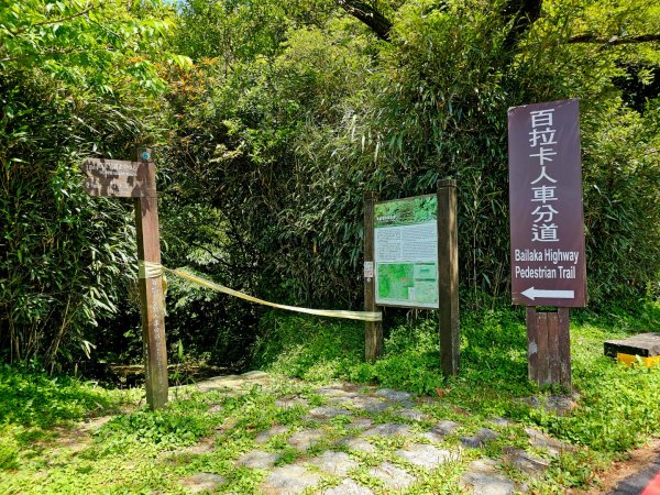 2025年臺北大縱走第二段： 二子坪至小油坑2763773