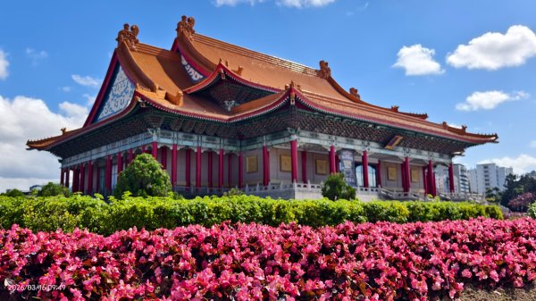 #自由廣場 #大安森林公園 #繡球花 #杜鵑 3/163016265