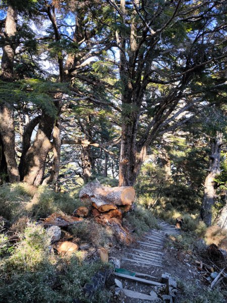 2026-02-09 庫哈諾辛山2998999