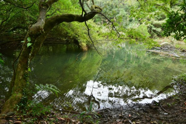 【台北市】陽明山西段縱走