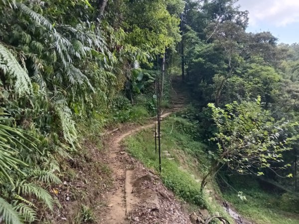 平溪區大華步道+幼坑古道+幼坑崙(大華車站-三貂嶺車站)2925262