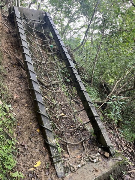 [微笑山線_第十二段] 2025_0803 五分山系_嶺腳寮山2851312