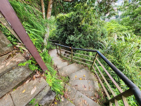 20251109四獸山步道2961750