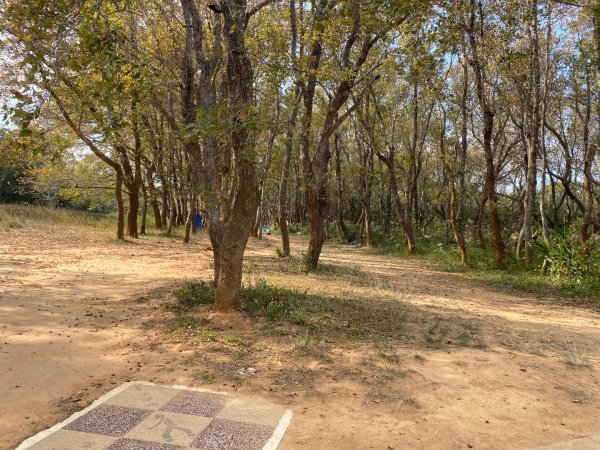 苗栗頭份-老崎古道2628345