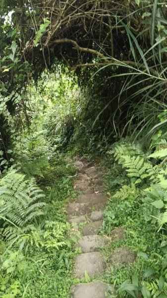 20251004 馬那邦山 - 珠湖 登山口2904794