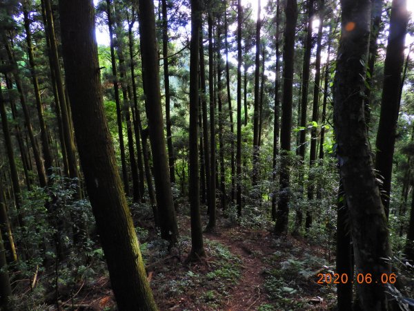 新竹 五峰 鳥嘴山、鵝公髻山986659