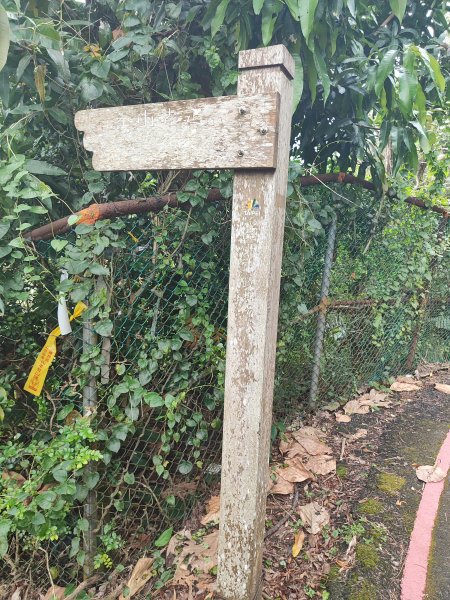 臺北大縱走第六段：中華科技大學至捷運麟光站2790259