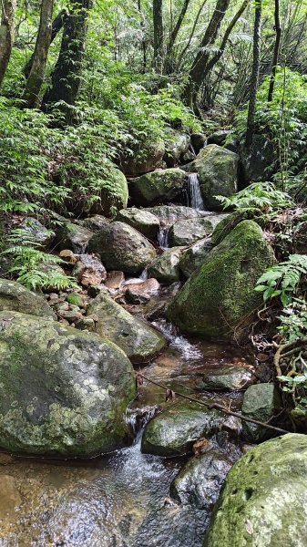 楊廷理古道2814599