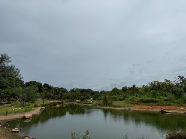 大湳森林公園2860330