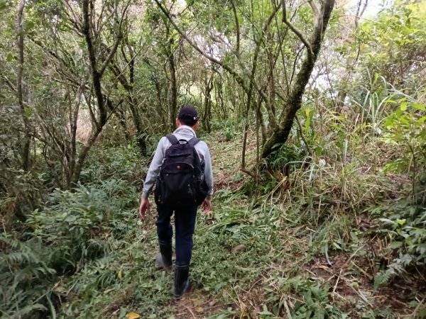 頭城鎮外大溪山+七兄弟山+窖寮山O型3016011