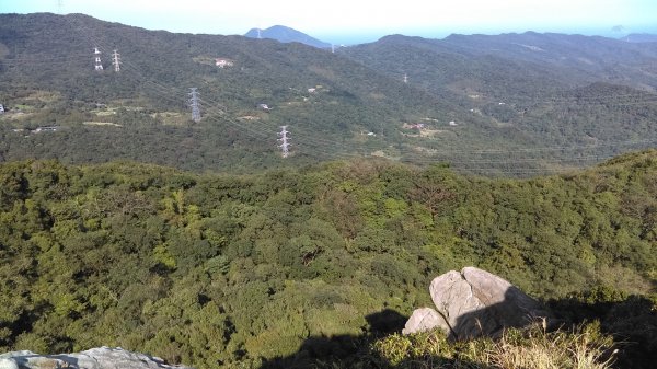 曲徑通幽的友蚋山、如夢似幻的新山夢湖800559