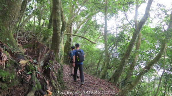《雲林》望好望角｜石壁山嘉南雲峰步道(中側登山口）202506072805537
